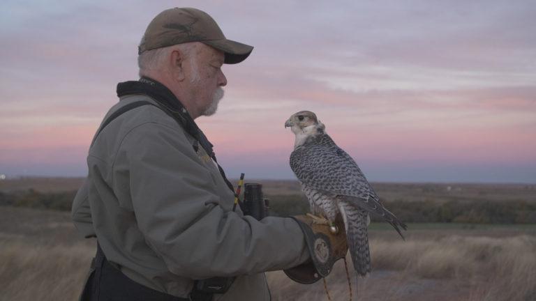 Genghis Khan to Bob Smith- How Drones are Used in Falconry Today.jpeg